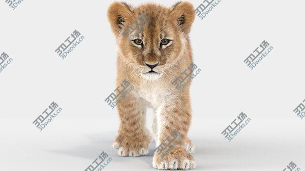 images/goods_img/20210312/Baby Lion Animated Fur 3D model/2.jpg